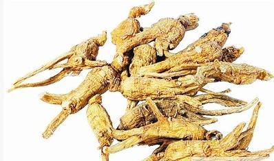 西洋参与人参的区别 药用价值与适用人群解析