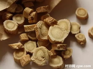 三秦拍案 彩凤县人参种植的致富奇缘